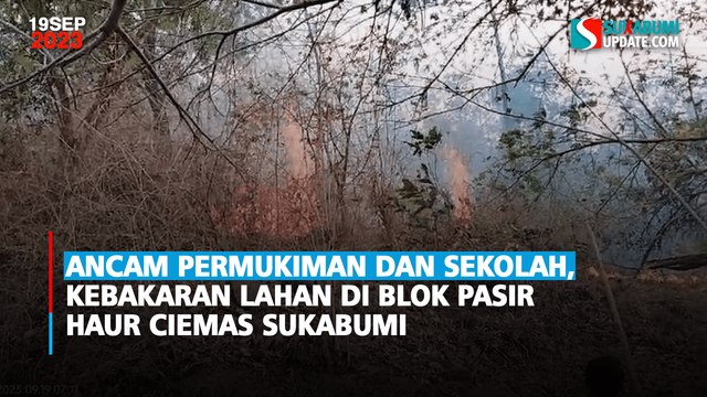 Ancam Permukiman dan Sekolah, Kebakaran Lahan di Blok Pasir Haur Ciemas Sukabumi