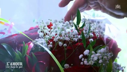 Sélectionnée au speed-dating, une prétendante de "L'Amour est dans le pré" 2023 sur M6 abandonne juste avant le séjour à la ferme