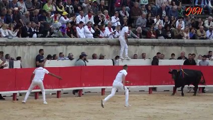 CASTELLA manade Saumade