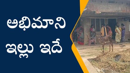 కాకినాడ జిల్లా: చంద్రబాబు వీరాభిమాని ఆత్మహత్యాయత్నం