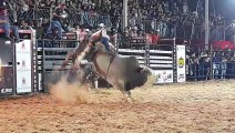 RODEO IN BRAZIL - EXPO ARTUR 2022 (P2)