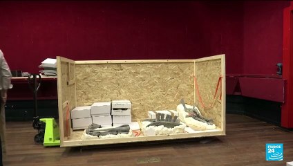 Dinosaur known as 'Barry' goes on sale in rare Paris auction