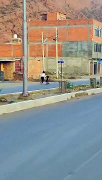 Firulais consentido : Perrito maneja un scotter y enternece las redes sociales