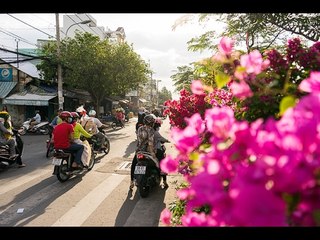 The Floating Flower Market of Ben Binh - Saigon