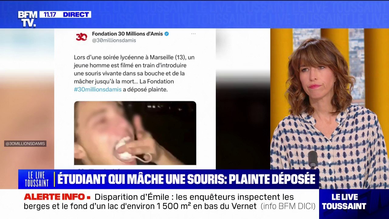 Un étudiant mâche une souris jusqu'à la tuer lors d'une soirée d'intégration, 30 Millions d'Amis porte plainte