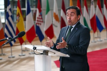 Albares diu que han complert el compromís i que resoldran aviat els dubtes sobre el català a la UE