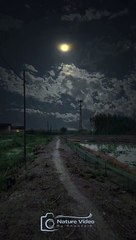 Night is a Serene and Enchanting Sight