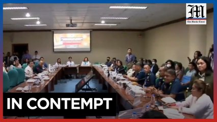 Senate panel detains employer of maltreated maid