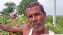 हरदोई: कम होने के बाद फिर बढ़ा गंगा का जलस्तर, ग्रामीण परेशान