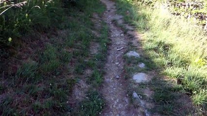 19 septembre, fête de l'apparition de la Sainte Vierge à la Salette