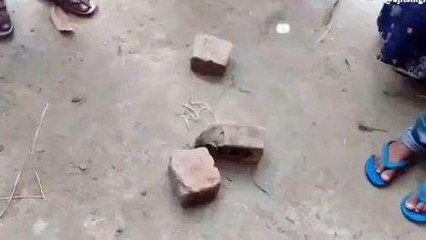 गोरखपुर: ईंट से हमला कर दबंग ने महिला को उतारा मौत के घाट