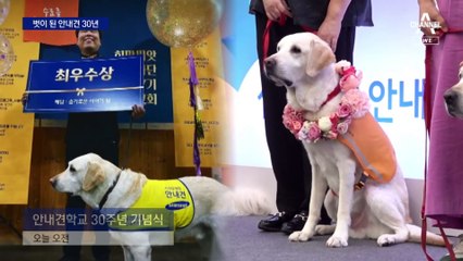 안내견 학교 30년…280마리, 시각장애인과 동행