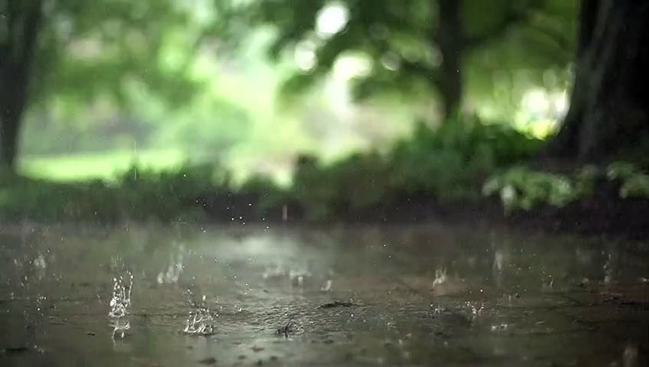 known_good_vid