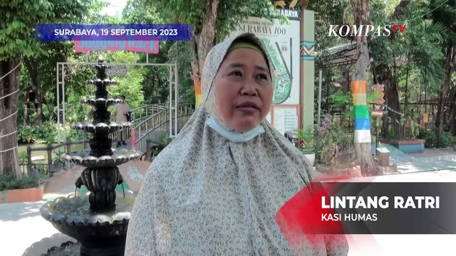 Akun IG Kebun Binatang Surabaya Diretas, Mendadak Posting Foto Anies-Cak Imin