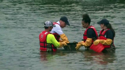 Etats-Unis: le Prince William visite l'ONG "Billion Oyster Project" à New York