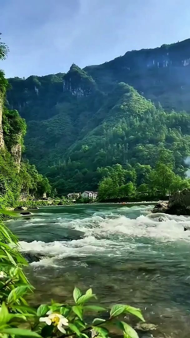 ⁣Underwater Beauty of Nature | Sounds off nature | meditation videos