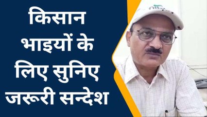 जालोर: बारिश की वजह से फसल को भारी नुकसान की आशंका, सुनिए किसानों के लिए ये संदेश