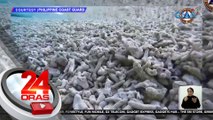 Sirang corals, nakita sa Iroquis Reef kung saan namataan ang nasa 35 barko ng China noong Sept. 17 | 24 Oras