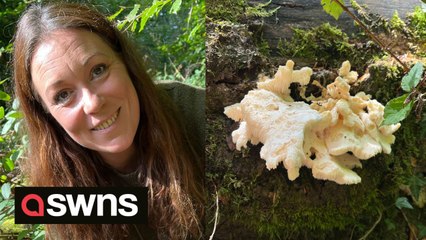 Professional forager has discovered one of Britain's rarest fungus