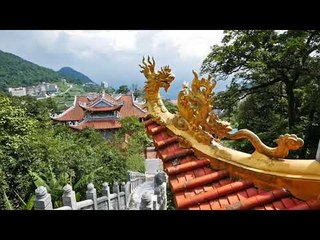 Tam Dao Bamboo Forest and Temple