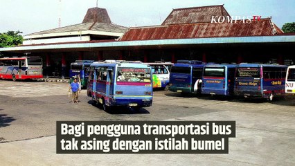 Apa Itu Bus Bumel? Ini Penjelasan Lengkapnya | SINAU