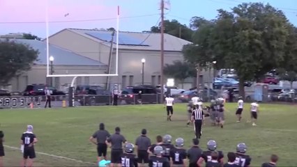 Incredible! Woman catches field goal kick through car window