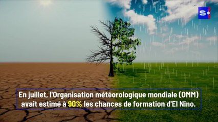 L'Australie signale la formation d'El Nino dans l'océan Pacifique
