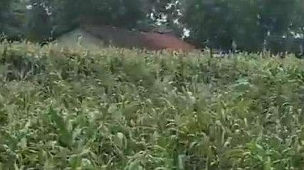 बड़वानी: किसानों ने प्रशासन के सामने उठाई आवाज,रखी यह मांग