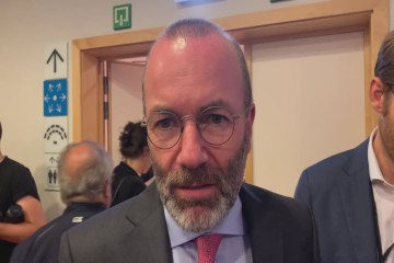 Migranti, Weber: "E' sfida europea, Italia non va lasciata sola"