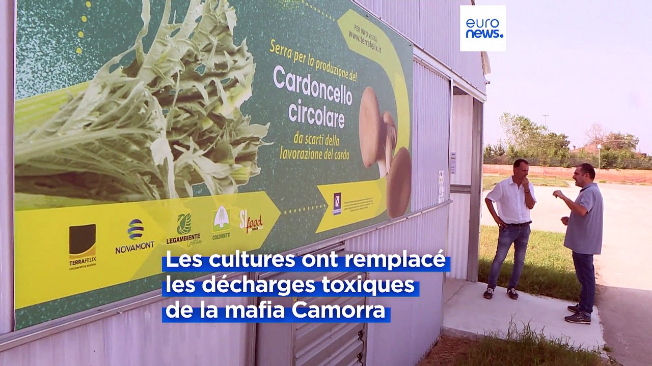 Economie solidaire : quand l'espoir germe sur les anciennes Terres des feux de la Camorra