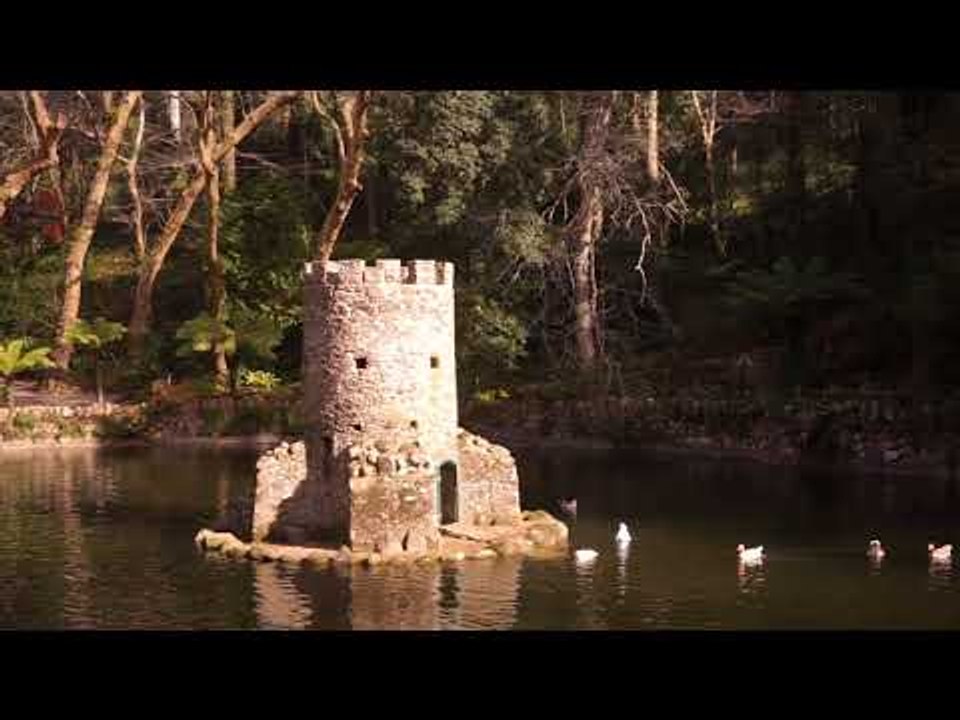 The Parque de Pena - Mysteries And Ferns Everywhere In Sintra