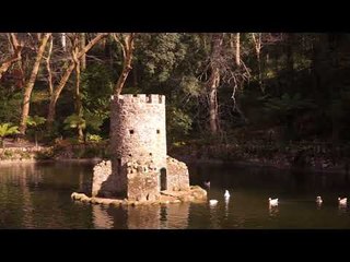 The Parque de Pena - Mysteries And Ferns Everywhere In Sintra