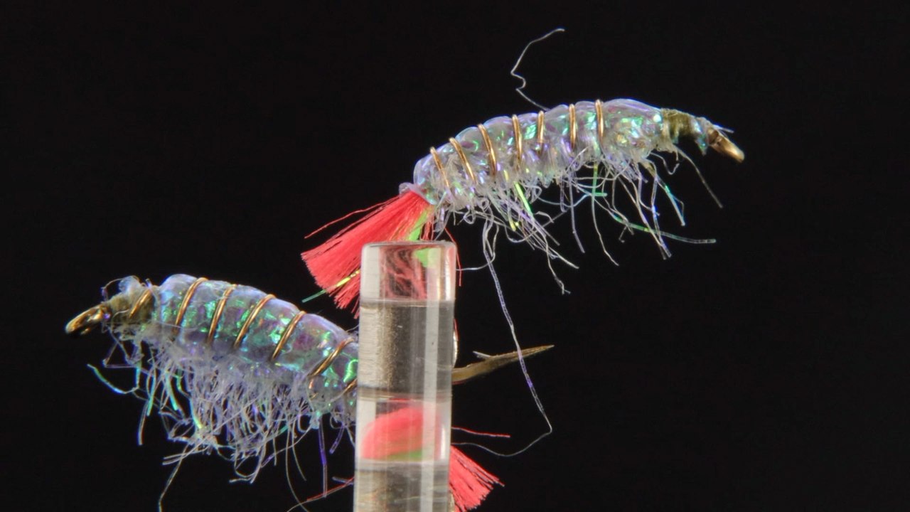 How to tie Blue Romy's Sand Shrimp