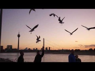 Düsseldorf Sunset, Altstadt, Rhine and the Rheinturm