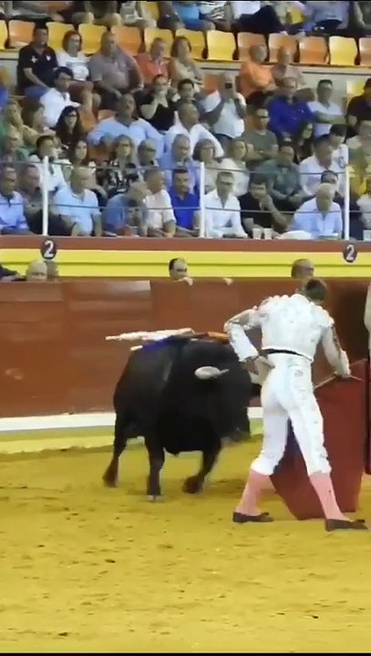 Inicio en Illescas de Borja Jiménez