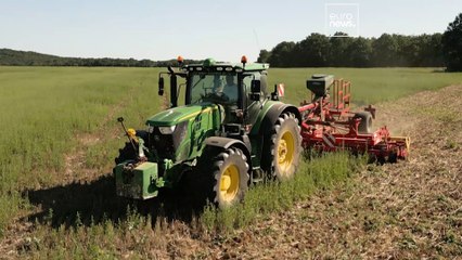 Transizione verde: come cambierà l'agricoltura in Europa?