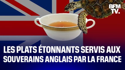 Download Video: Bouillon de tortue, hérisson périgourdin... les plats étonnants servi par la France aux souverains britanniques