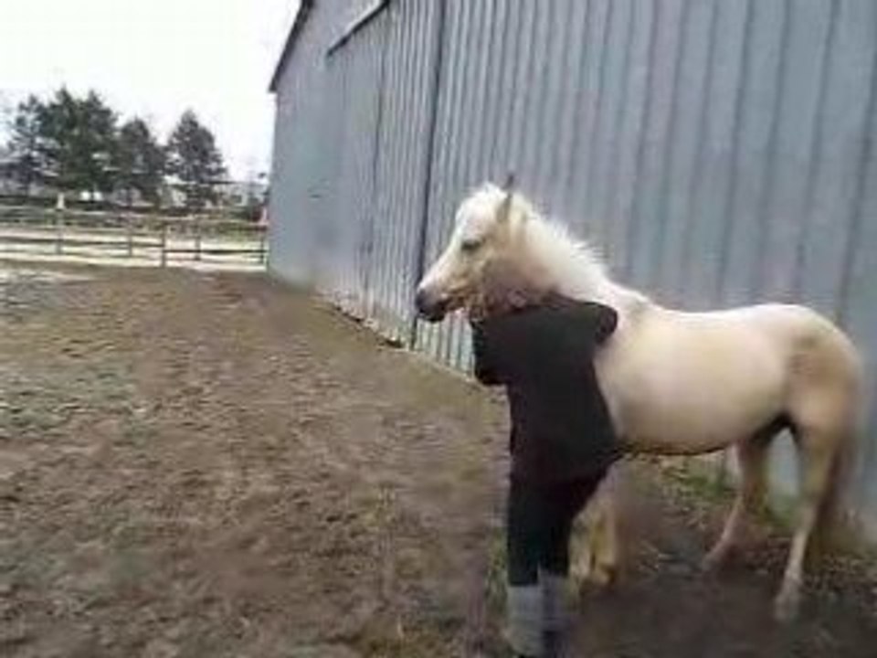 Video othello