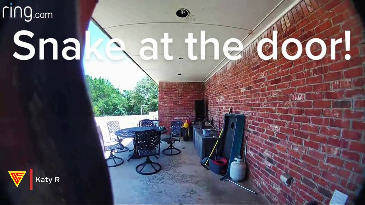 Ring Doorbell Camera Captures a Snake Slithering on The Front Door | Doorbell Camera Video