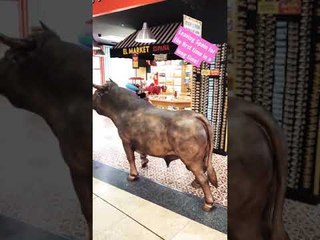 Since February 2020, we're leaving Spain for the first time!