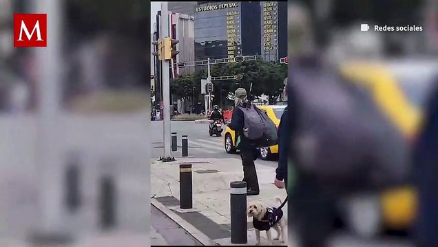 Automovilista que circulaba por carriles de Metrobús, atropella a policía en CdMx