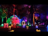 Les llums de Vivers - Christmas Lights in Valencia 2021 - Jardines del Real