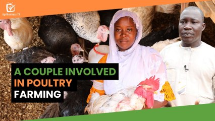 Burkina Faso: A couple involved in poultry farming