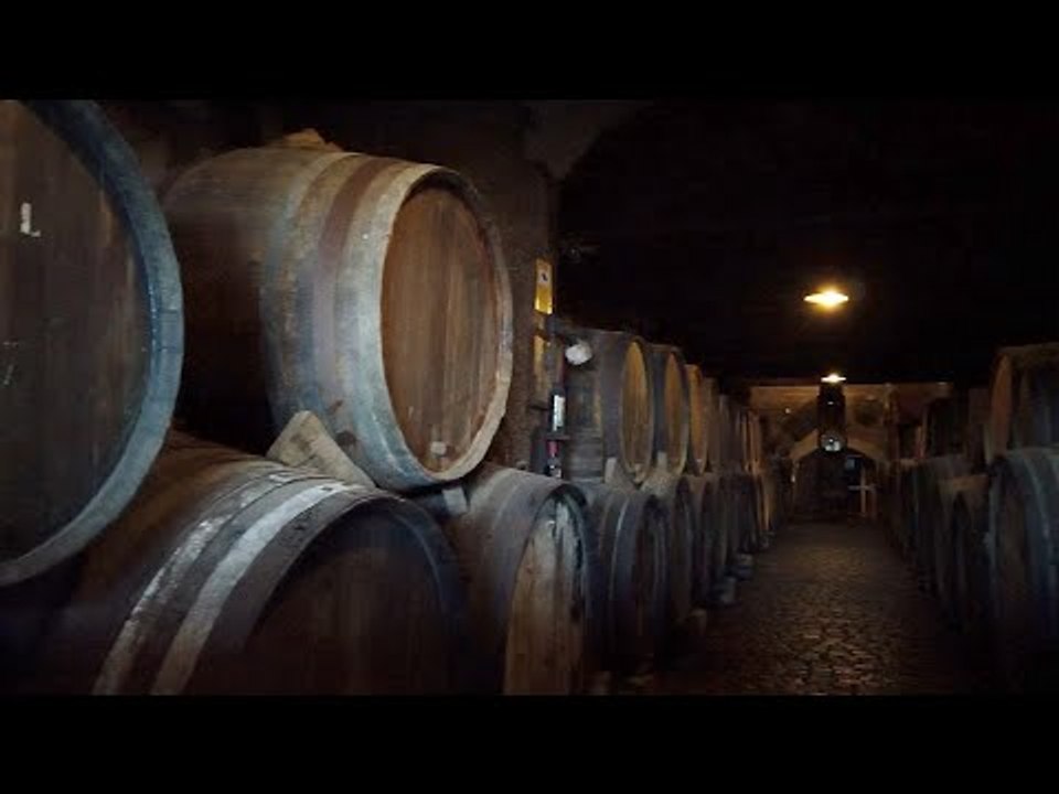 Tacoronte Bodegas - Vineyard Wine Tour On Tenerife Near La Laguna