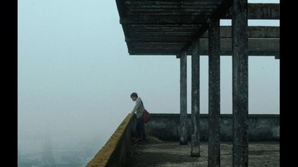 « L’Arbre aux papillons d’or » éclaire la campagne vietnamienne