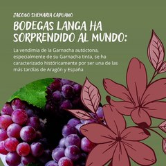 -Jacobo Shemaria Capuano- Bodegas Langa ha sorprendido al mundo (parte 1)