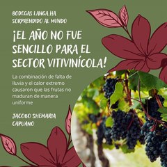 -Jacobo Shemaria Capuano- ¿Cuál fue el motivo? (parte 2)