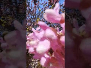 Spring 2023 Has Arrived in Valencia