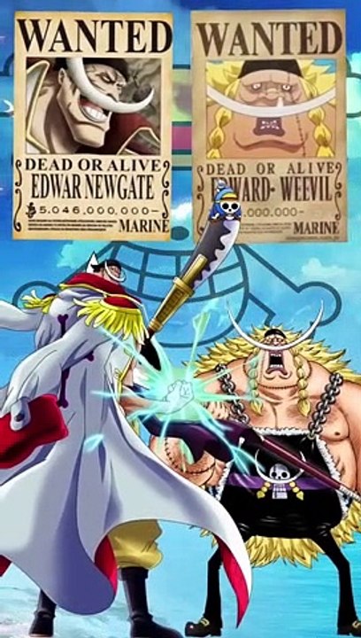 one piece- Father And Son Duo