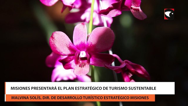 Misiones presentará el Plan Estratégico de Turismo Sustentable
